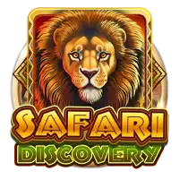 Safari Discovery